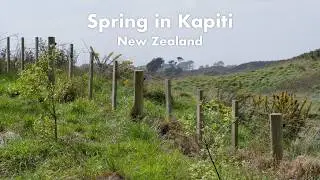 A Spring Day in Kapiti | Coffee, River trails, Bakery, Nature