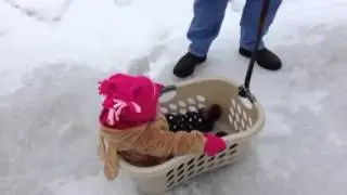 Morgan's Day In The Snow