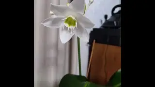 Нужная покупка.