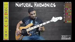 Natural Harmonics Bass tutorial