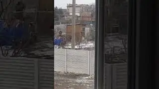 «Вторая армия мира» «освобождает» кур. Русские оккупанты вторглись в Украину