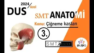 DUS/TUS ANATOMY Masticatory muscles topic explanation