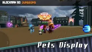 Blockman Dungeons Series ---- Pets Display