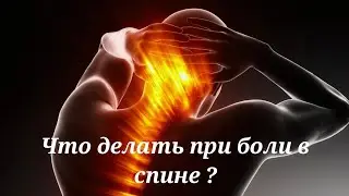 Viprosal ointment. How to relieve muscle and joint pain.