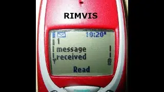 Rimvis - ŽINUTĖ