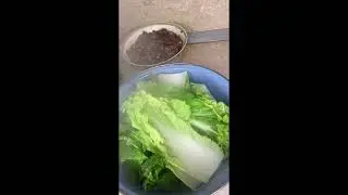 Голубцы с пекинской капустой 