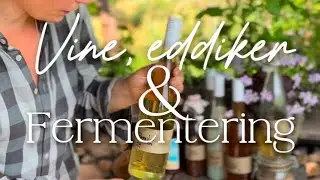Lidt om Vine, eddiker & fermentering 