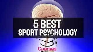 5 Best Sport Psychology Courses Udemy