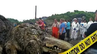 This SCP Creature Washed Up On Shore