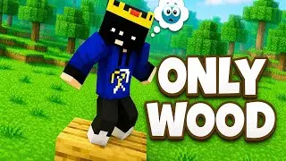 Minecraft BUT My Friend Said… ONLY TOUCH WOOD || Minecraft || #minecraftchallenge