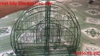 mẹt treo cây 2 mặt bẫy bìm bịp giá rẻ và loa điều khiển từ xa