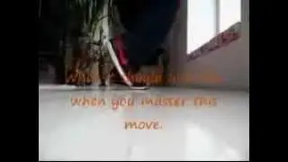 PimpMyWalk.com -- Узнайте, как сделать Gangsta Hop - Skip.mp4