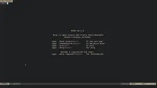 vimspector: Debugging inside vim | Graphical debugger for vim and neovim