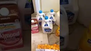 Big Family Grocery Shopping 