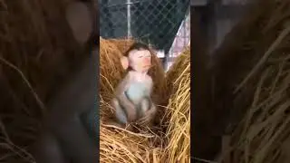 Когда меня разбудили по среди ночи 😴😌😱 #shorts #tiktok #reels