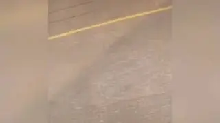 Попрошайка получил бургеры