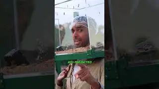 a normal day in australia 😂