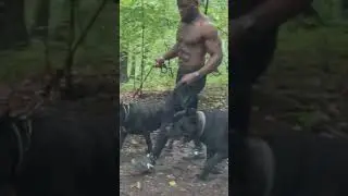 Had a great run yesterday with my running buddies😍 #canecorso