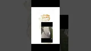 Part 14 dandy's world rule34 
