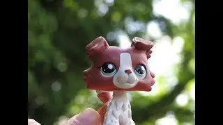 LPS Opening eBay Package: LPS #1542