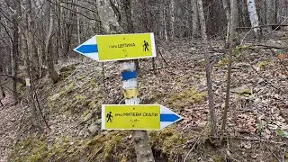 от връх Милеви скали до гара Цепина - втората половина