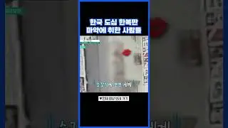 길거리 활보하는 마약에 취한 사람들 #행복한아침