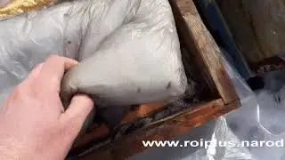 Зимовка на воле_2020_15_ марта