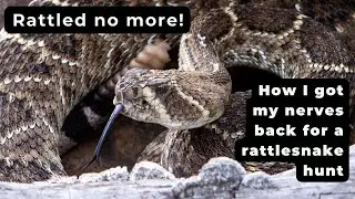 Got the nerves. Got the snake!