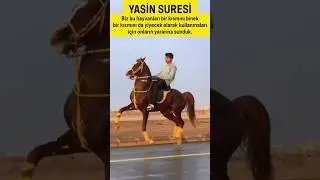Yasin Suresi Onlar Yardım Göreceklerini Umarak Allah'dan Başka İlahlar Edindiler.