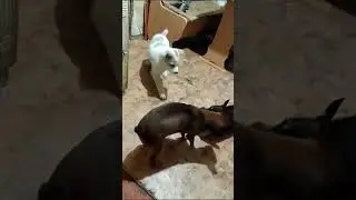 Всем большой Привет от нашей тайны