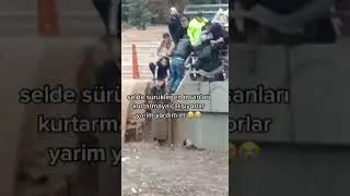 selin gütürdüğü insanları kortarmaya çalışıyorlar