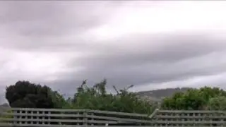 делать им нечего