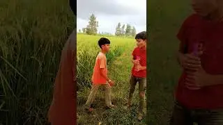 cameraman jaldi focus #trending #video #viral #funny #comedy #short #mr Indian hacker #r2h #r2w