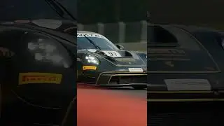 The Beauty of World Endurance Championship