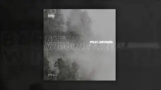 Bary - W powietrze ft. Gromel