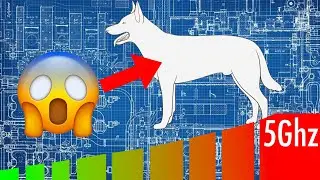 Comment Overclocker son chien (méthode simple)