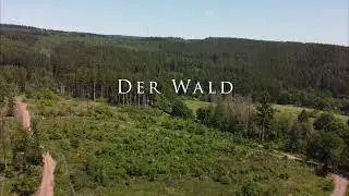 Baumspendenaktion Wildparkfreunde Hochwald e.V.