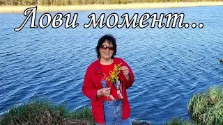 ЛОВИ МОМЕНТ (Читає автор Любов Федюкевич)