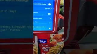 Advanced Settings menu of Robi the Robinsons Supermarket robot