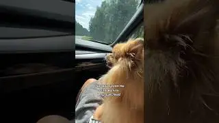 Чем Бася занималась на природе?