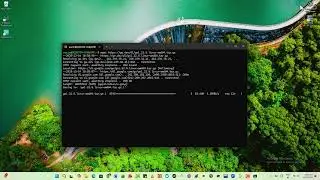 How to install Golang software in Ubuntu Linux [2025 complete guide]