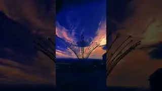 Кусар