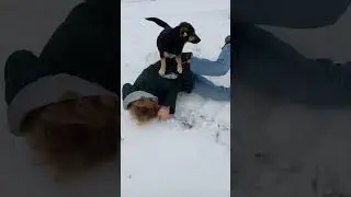 И снова Жужа! 