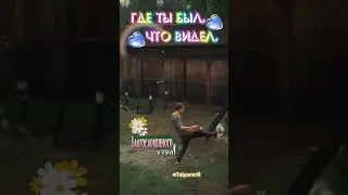 Доброе утро! Пусть теплый летний дождь подарит чистоту и свежесть. Стихи в видео: автор Л.Котовская.