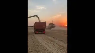 Уборка 2024 #farming #automobile #agriculture