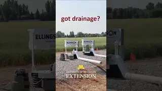 Got drainage? Educator Brad Carlson discusses typical drainage coefficients in southern MN.