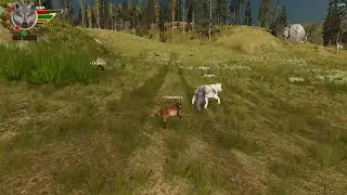 Desperate Parents | Mini Pack | Ep 9 | Season 2 | WolfQuest Anniversary Edition