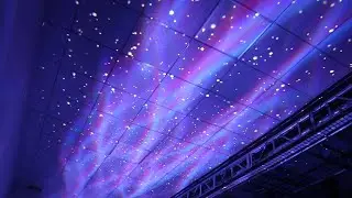 IP65 Outdoor Firefly+Water Wave Effect projector