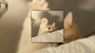 Hug Me - Pharrell Williams & Trey Parker speed up