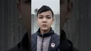 Не дразните собак 